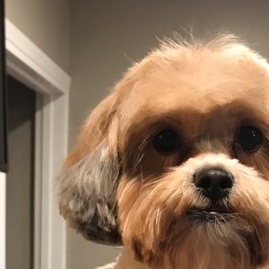 Meet your Posher, Kelly